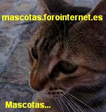 Avatar de Usuario